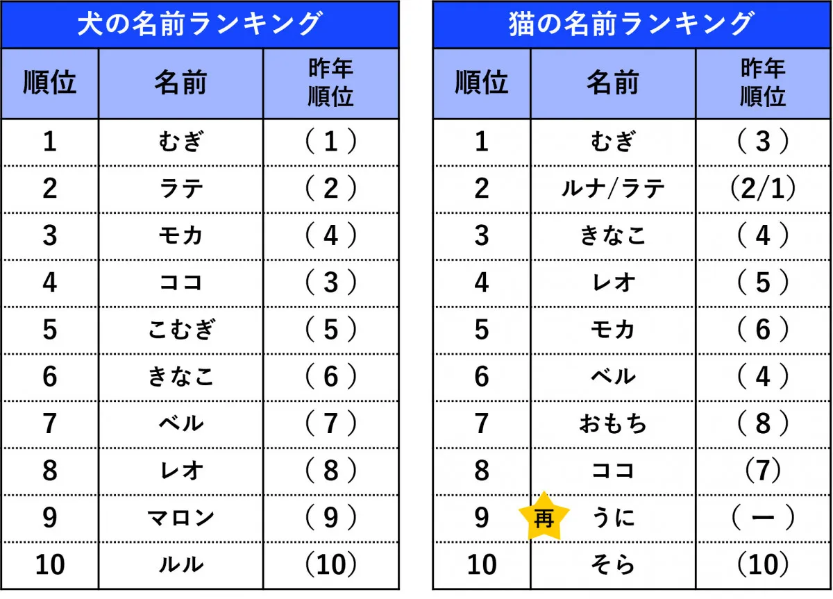 ペットの名前ランキング発表　犬・猫ともに1位は同じ名前に　犬は6年連続、猫は昨年3位が返り咲き
