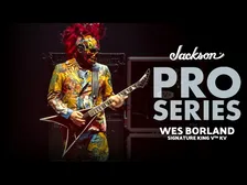 リンプ・ビズキットの人気ギタリスト、ウェス・ボーランド初のシグネイチャーモデルが登場