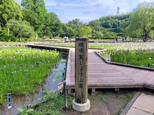 横須賀しょうぶ園、コスプレ撮影巡り警告「再三のお願いにもかかわらず、改善されることがなく」