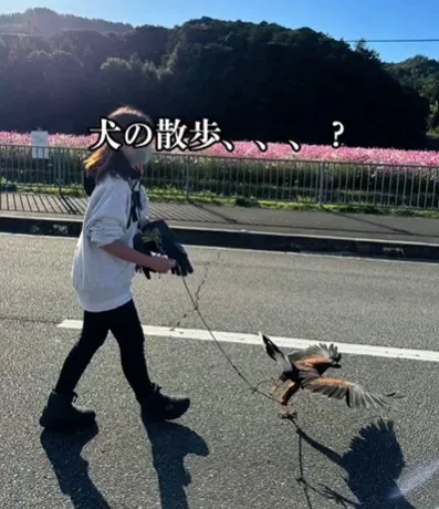 猛禽類を飼ってみたら…予想外の生態に「ももひき履いたおじいちゃん感ｗ」「あんなイケメンな鳥が…！」「ぴよぴよ可愛すぎ」