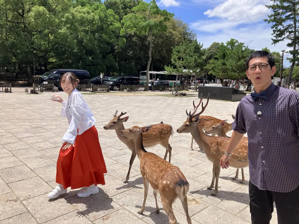 須田亜香里、鹿に大苦戦　奈良旅、かき氷“夢のコラボ”にも出会う