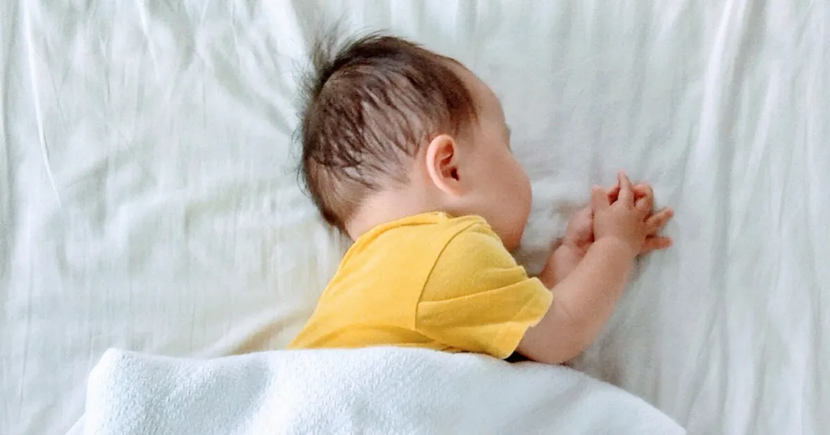 小さな子どもやペットがいても安心…“さすだけ＆置くだけ”の「超音波式」害虫対策グッズおすすめ5選