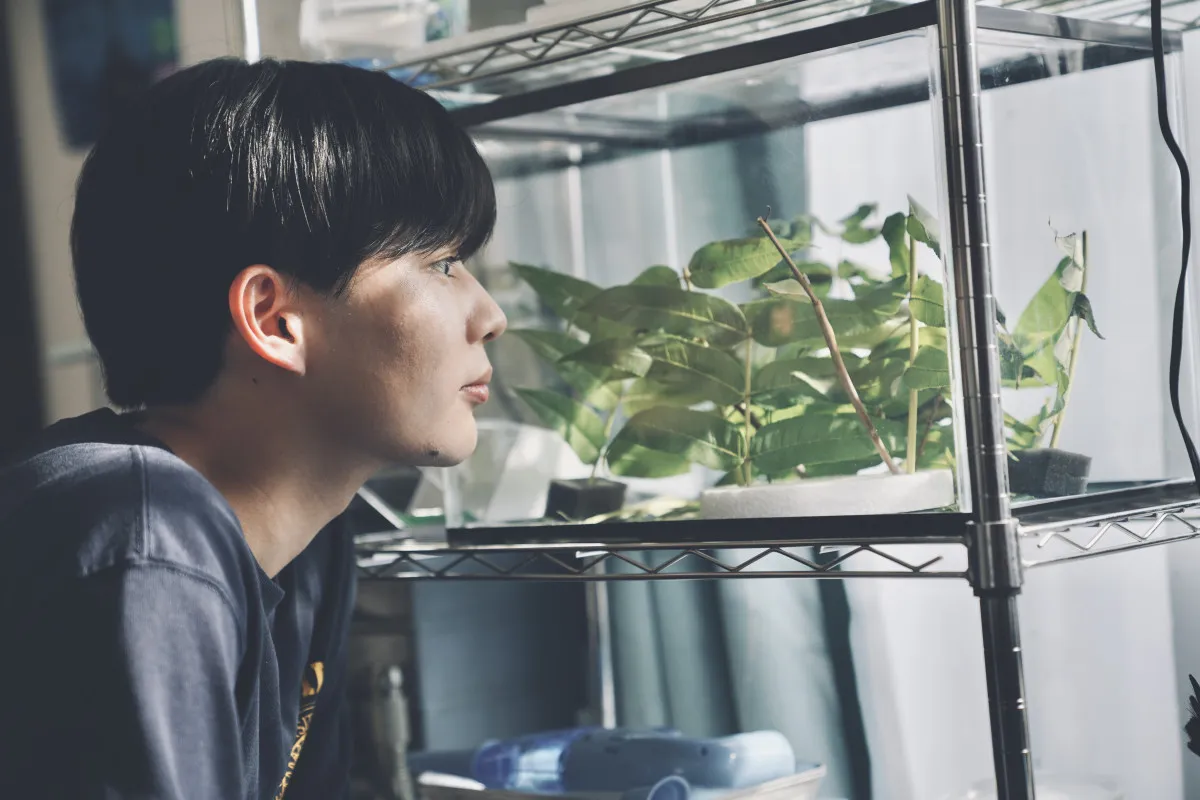 なにわ男子・長尾謙杜、視線と沈黙で魅せる芝居に注目　映画『恋に至る病』場面カット公開