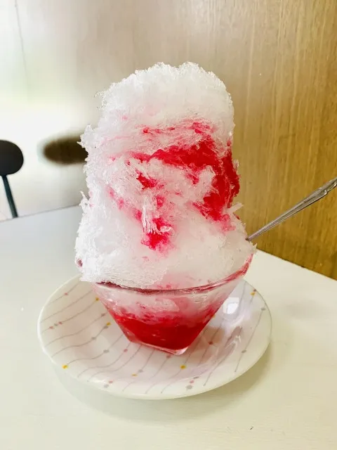 「夏休みのおやつどうする？」を解決　楽しく作れるかき氷機＆アイスメーカーおすすめ7選