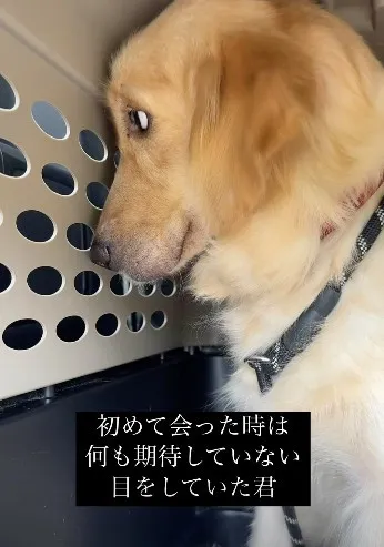 感情を失った“繁殖引退犬”を保護して１ヵ月後…激変した姿に「全然違う！」「涙が止まりません」「幸せになって」