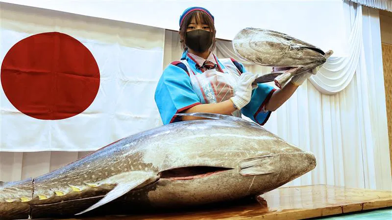 マグロを豪快に捌く現役女子高生“ツナガール”の動画が話題　制服姿で放課後フィッシングの姿に「リアル放課後ていぼう日誌！」の声