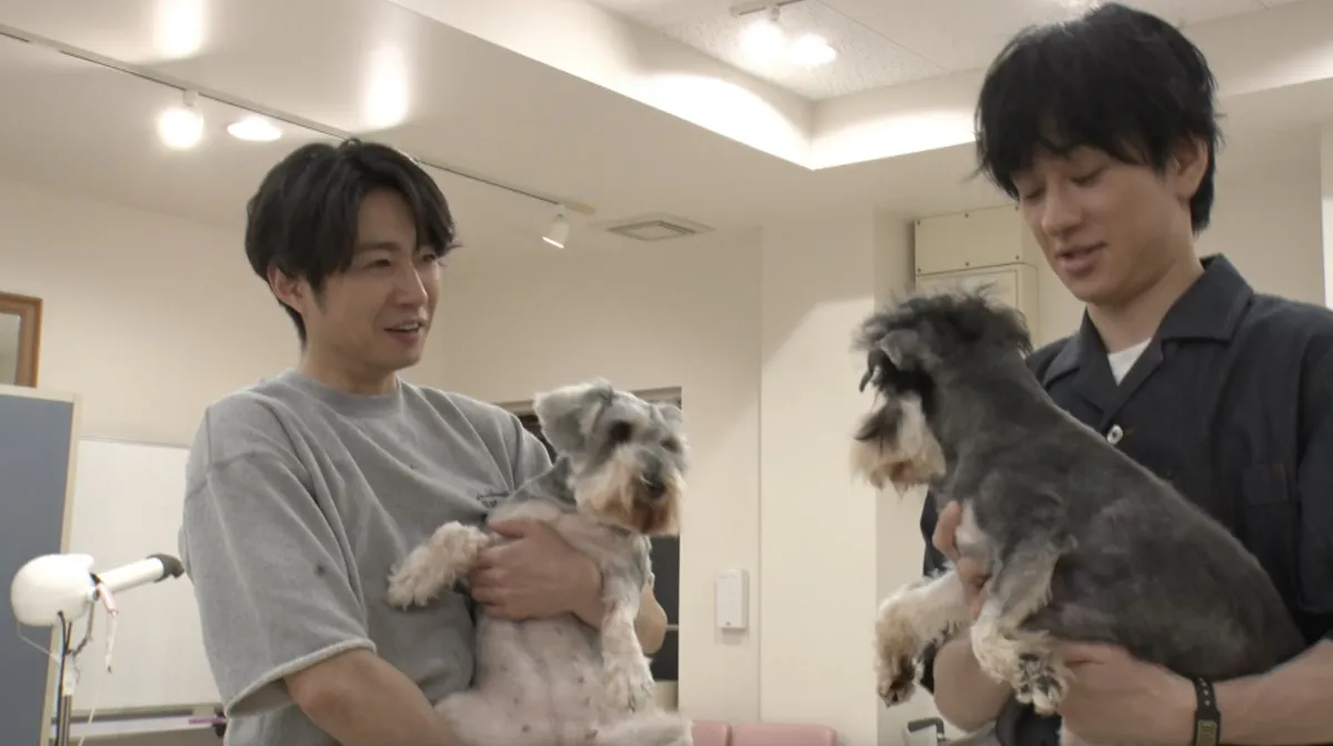 横山裕、相葉雅紀と“保護犬トリミング”　仲の良さが伝わる時間に