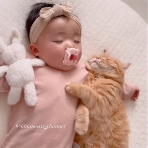 猫に腕枕する0歳児、2年後の姿に大反響「これは尊い…」「まるでジブリの世界」