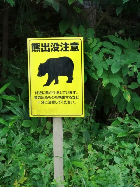 「まさか住宅街で？」「正直ちょっと怖い…」身を守るために知っておきたい熊よけ対策アイテム＆基本の心得