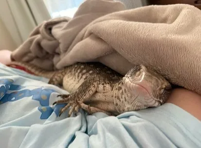 香ばしいパンのにおいで目覚めたと思ったら…腕枕していた生物に驚がく「完全にニンゲンの子どもですね」