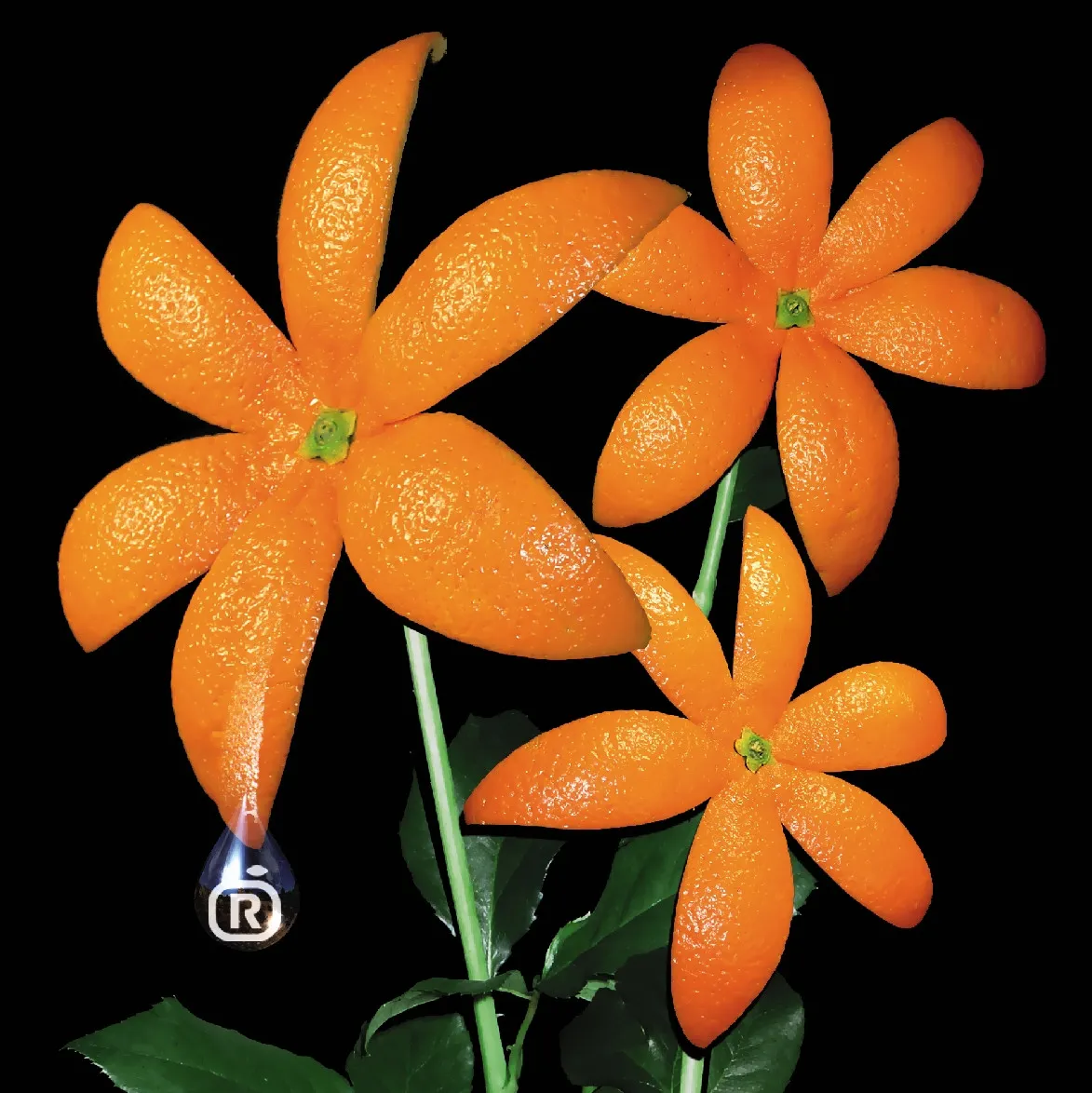 ORANGE RANGE、「花」が自身通算2作目の累積再生数1億回突破【オリコンランキング】