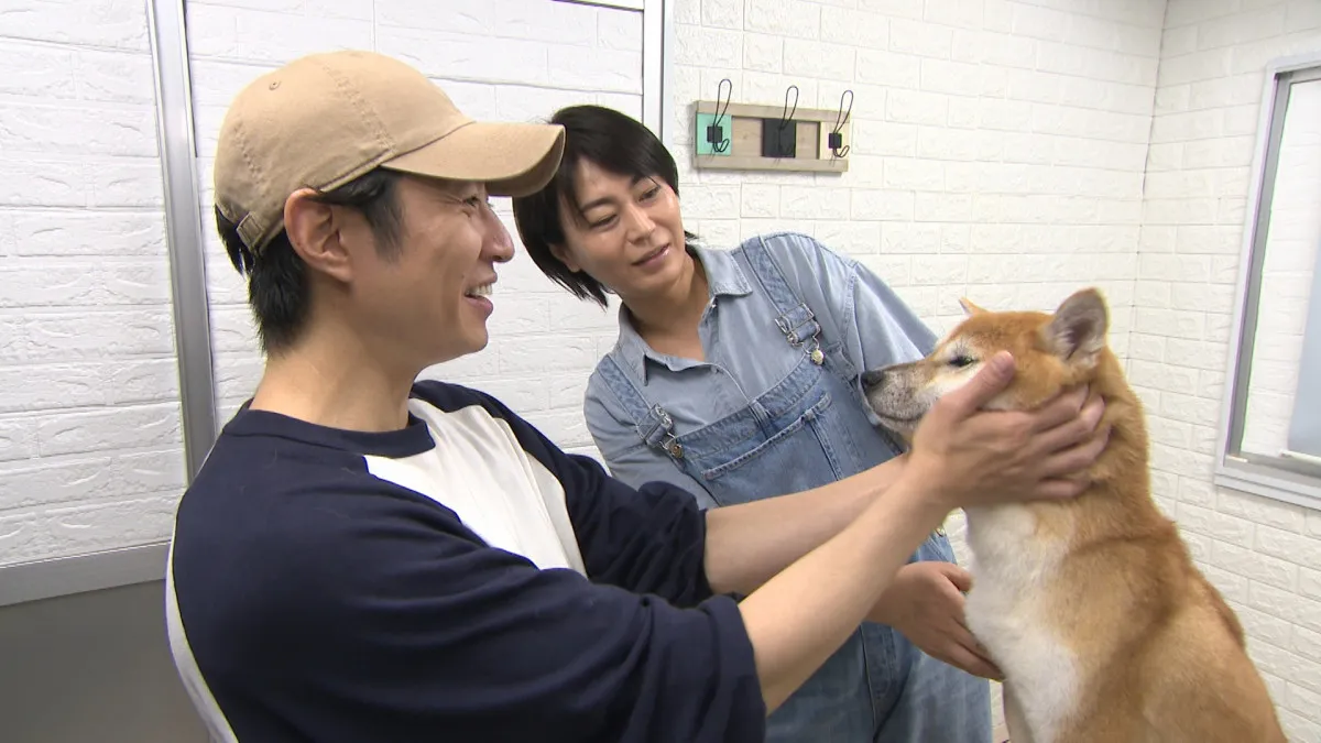 氷川きよし、相葉雅紀と“保護犬トリミング” 有働由美子&遠藤憲一は猫の“ミルクボランティア”