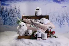 「ハリー・ポッター」スタジオツアー東京、冬の特別企画を開催 ヘドウィグの“ぬくぬく”グッズも新登場