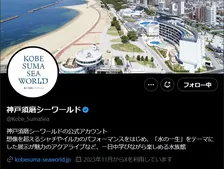 神戸須磨シーワールド、“動物事情”で臨時休館…あす4日は「通常どおり営業」発表