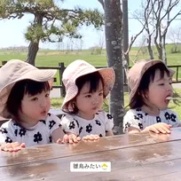 まるで雛鳥みたい…順番にアイスを食べさせてもらう3つ子に反響「可愛いの大渋滞」「行儀良く待つ小鳥ちゃん達」