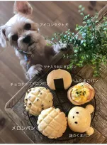 愛犬→かわいい、パン→すごい　「ぜんぶかわいいな…総じて天才です」「全てが最高」