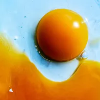 RADWIMPS、自身通算3作目の合算アルバム1位【オリコンランキング】