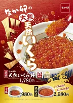 大粒の天然いくらがドーン!毎年好評なか卯の『天然いくら丼』が今年も登場