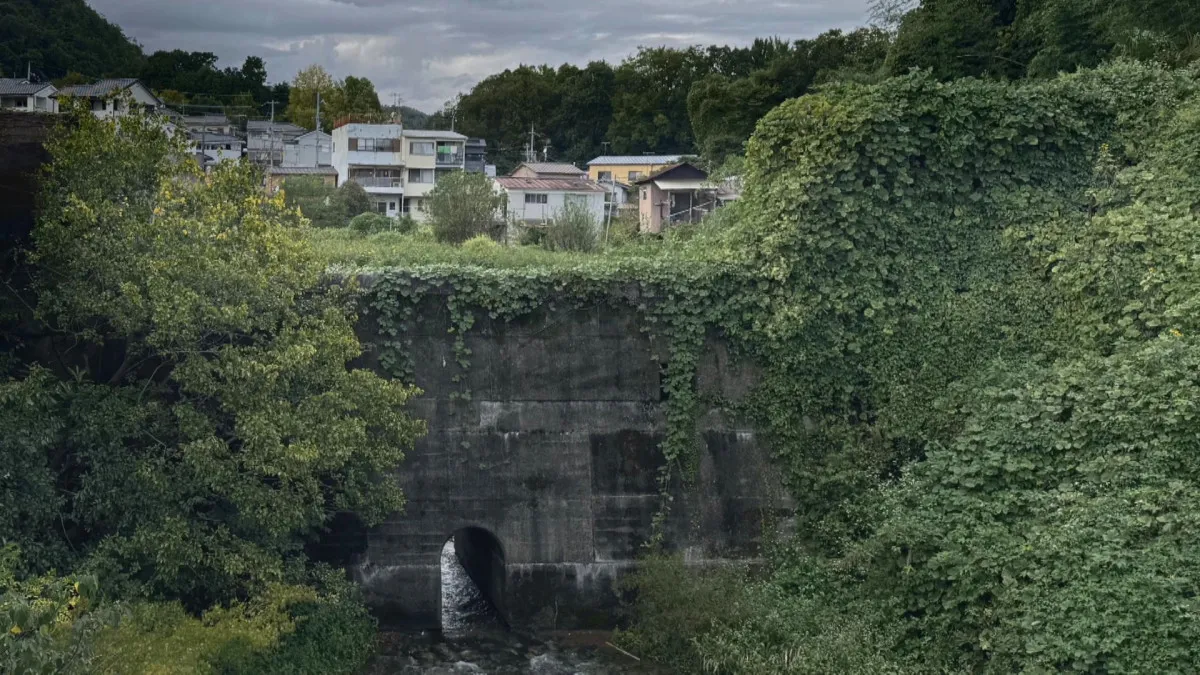 京都・紙屋川砂防ダムに住む人々、ついに明かす胸の内　「非難する声もありますが」番組Dコメント…『ハートフルワールド』新作