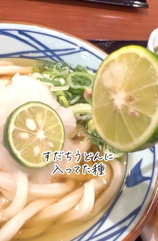 丸亀製麺で食べた“すだち”の種を育ててみたら…家庭菜園好き主婦の挑戦に「凄すぎて笑った」「種愛ハンパない!」