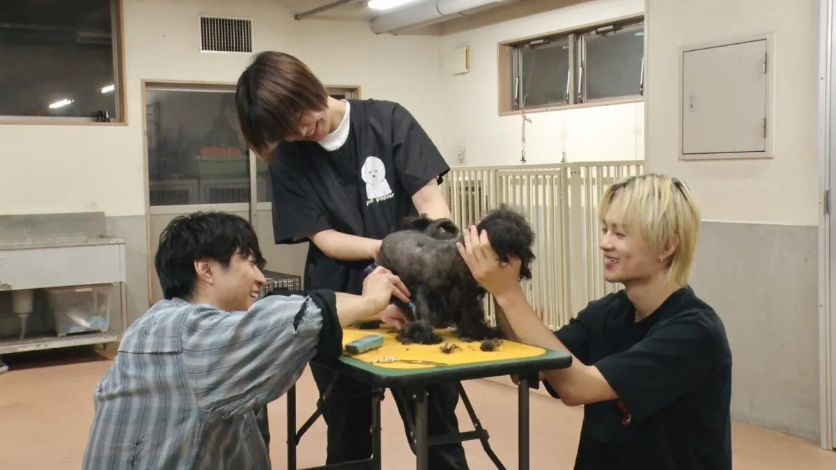 佐野勇斗、“相葉トリミング”に初挑戦「ビジュイイじゃん!」 独特なあやし方に相葉雅紀も笑顔