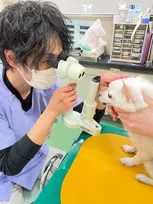 動物病院は儲かってる? “副業・獣医師”の会社員が明かす「新卒の離職率6割だった」実態、動物と業界のため…動き出した挑戦