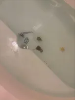 「噛まれたら死ぬやつ」知らぬ間に浴槽に沈む“危険生物”に母親驚愕…「お風呂も安全ではなくなりましたね」