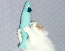 「ぎゅーっ」猫が毎日ぬいぐるみを抱いてスヤスヤ　幸せそうな寝顔に癒やされる～「絵に描いたような可愛いさ！」