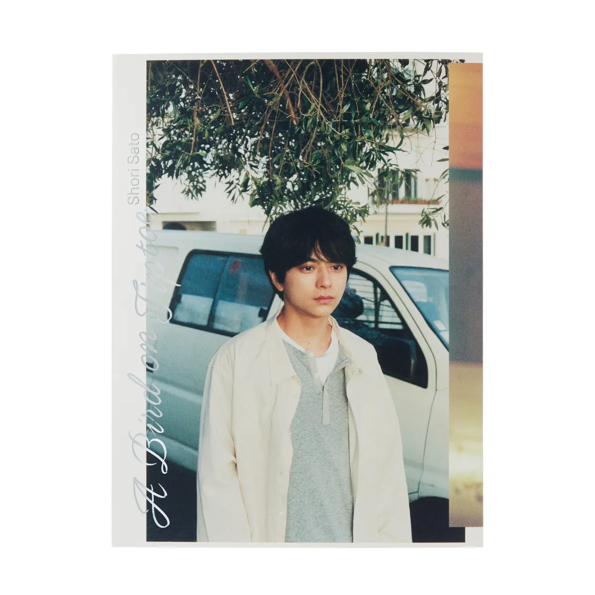 timelesz・佐藤勝利、「写真集」1位【オリコンランキング】