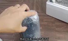 230万円で落札された“希少メダカ”、同じ品種を購入してみたら…「期待できそう！」「経過が楽しみ！」