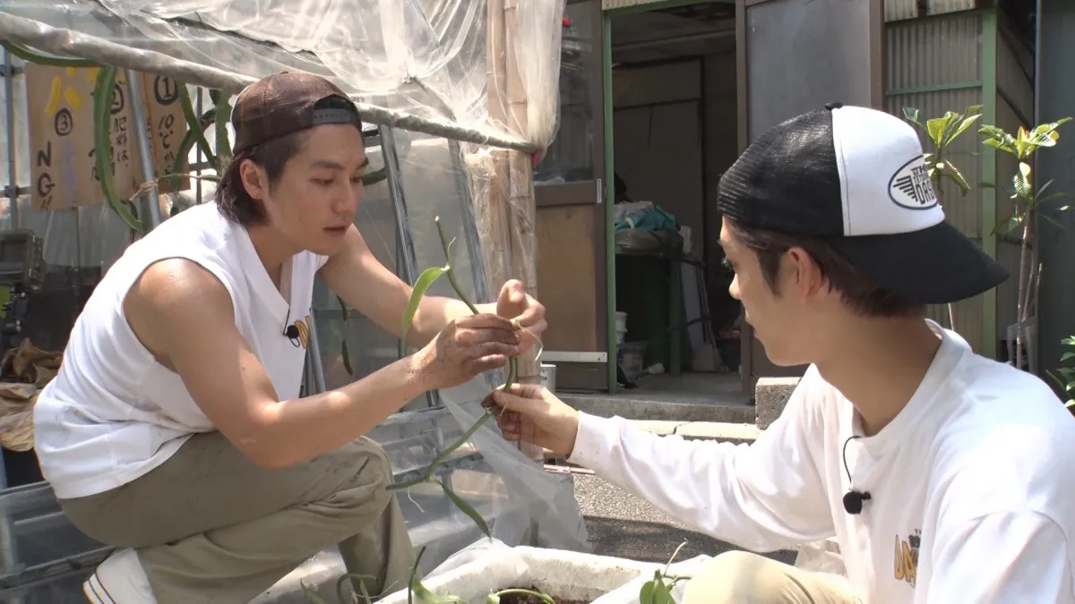 松田元太、“奇跡”の天然バニラ栽培に挑戦　松島聡のプロジェクト「松島茶屋」も本格始動