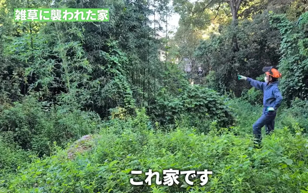 空き家の雑草を放置した結果に戦慄→しかし、プロが4日間本気を出したら…「お見事！」「気持ちいい～」
