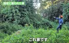空き家の雑草を放置した結果に戦慄→しかし、プロが4日間本気を出したら…「お見事！」「気持ちいい～」