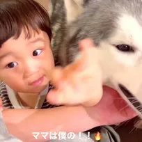 ママを奪い合う1歳児とハスキー犬の三角関係が尊い「可愛いの大渋滞」「ママさんモテモテですね」