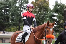 ロイヤルファミリー、気性難の設定にファン驚き　先行公開の絵とギャップ「何をどうしたらこの面で」