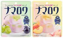 カバヤ食品『ピュアラルグミ』販売終了→“進化版”の新ブランド発表　『ナマロワ』9・29発売