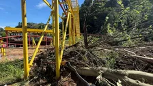 【都心で37日連続雨】東京ドイツ村、来園者の減少が深刻に　大型連休は前年の1割　ジェットコースターには土砂流入…　コスモスに“望み”