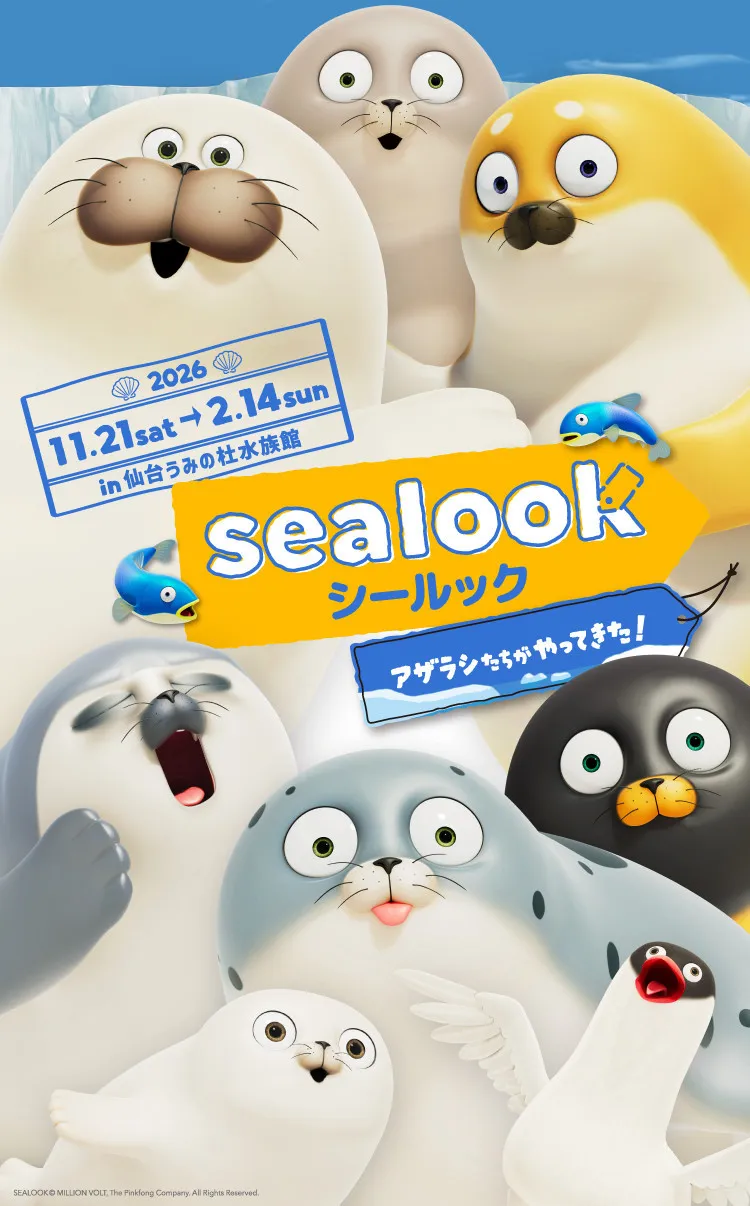 『SEALOOK』日本初　水族館とのコラボが決定