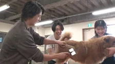 『オレハコ』出演・伊藤沙莉＆山下智久、相葉トリミング挑戦　主演・大泉洋も見守る