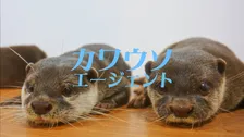 謎の新作アニメ発表へ　企業が事前の宣伝に注力で流行　TOHO animationが匂わせカット公開