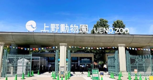 上野動物園、パンダ不在の影響は？　9月の来園者は長雨との“二重苦”　コビトカバ親子やハシビロコウは人気