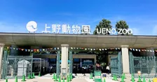 上野動物園、パンダ不在の影響は？　9月の来園者は長雨との“二重苦”　コビトカバ親子やハシビロコウは人気