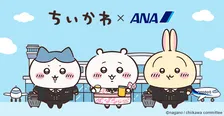 ANA、『ちいかわ』コラボグッズ販売の今後についてアナウンス「さすがANAだー！」「神対応ありがとうございます」「どうか転売対策も」