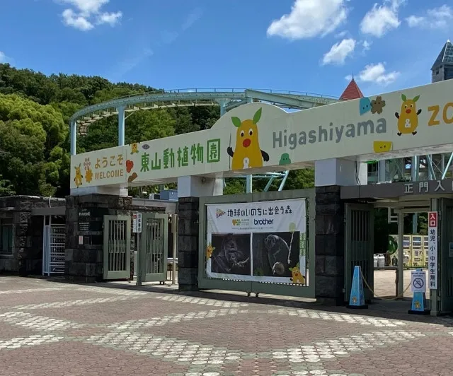 「いかにも名古屋出身のコアラ」東山動植物園の赤ちゃん、名前は「てんむす」に決定　「最高の名前！」