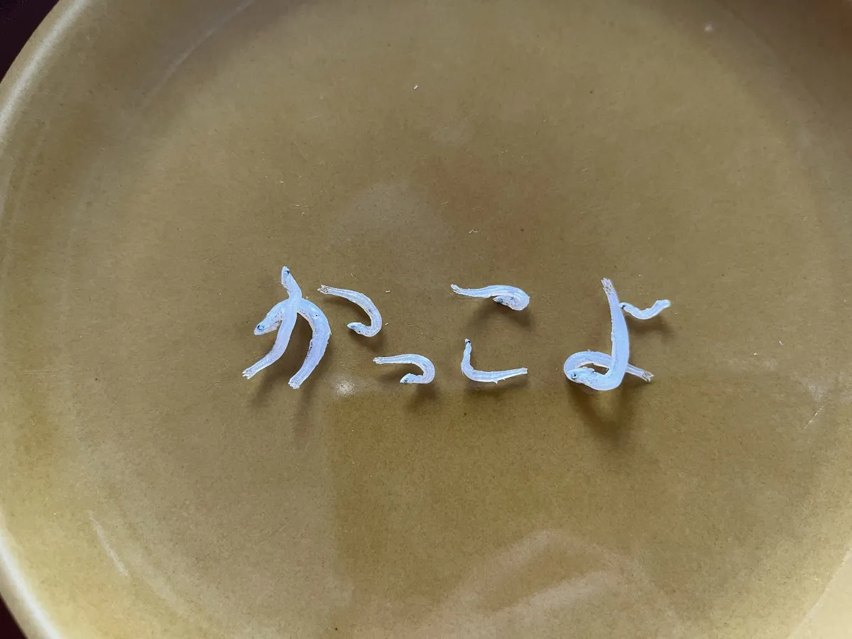 まるで筆で書いたよう…しらすを並べて作った“達筆すぎる文字”　制作に使うのは箸と2枚の皿