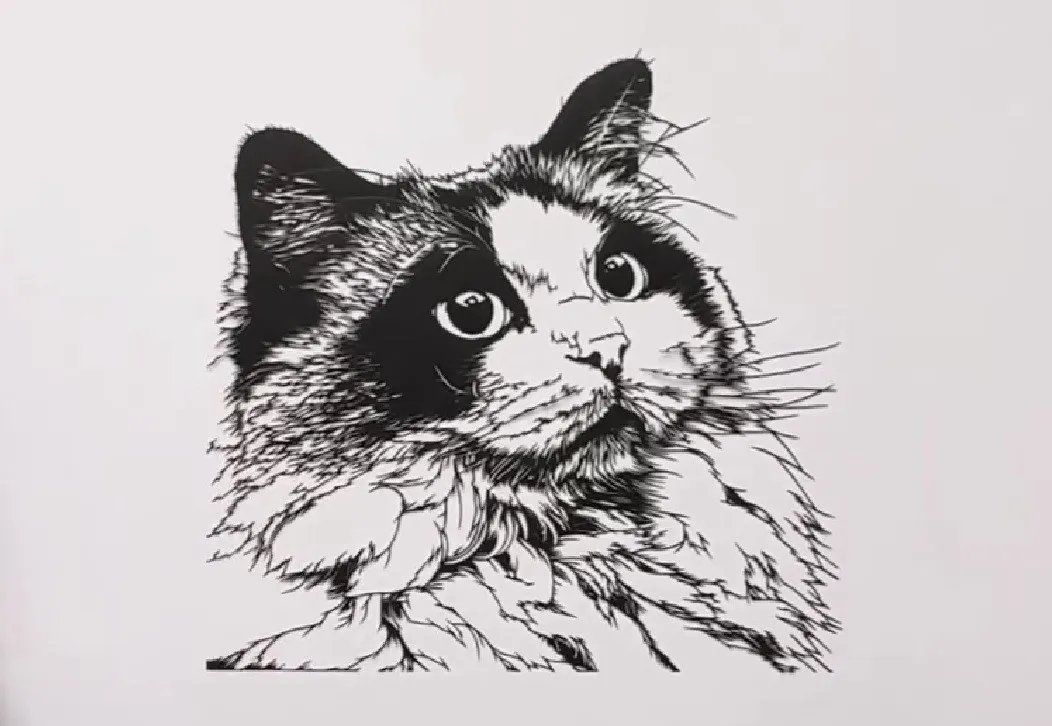 「これが一枚の紙から？」ふわふわの毛並みまで表現した“ラグドール”の切り絵　制作で苦労したのは「顔の模様と瞳」