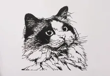「これが一枚の紙から？」ふわふわの毛並みまで表現した“ラグドール”の切り絵　制作で苦労したのは「顔の模様と瞳」