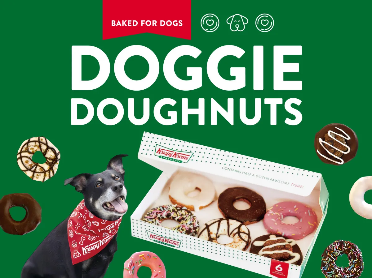 クリスピー・クリーム・ドーナツ初の“犬用ドーナツ”登場　ハードベイク製法で噛みごたえのある食感