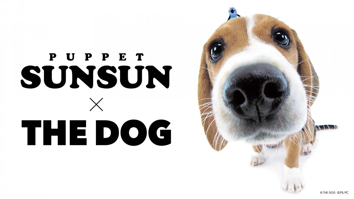 パペットスンスン、「THE DOG」とコラボ実現　犬から顔をのぞかせるスンスンTシャツ登場
