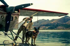 ブラッド・ピット主演『ハート・オブ・ビースト』9月公開決定　愛犬と極限サバイバル